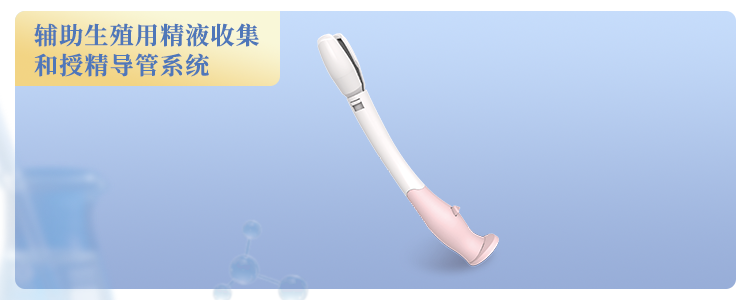 画板 1 拷贝 13.png